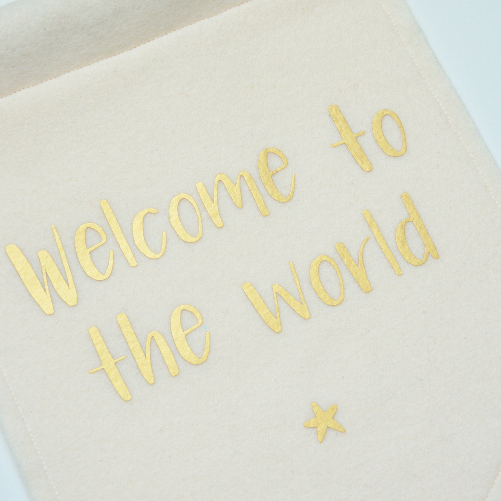 welcome to the world felt banner