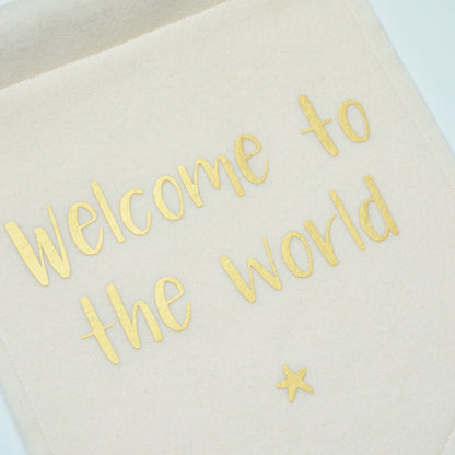 welcome to the world felt banner